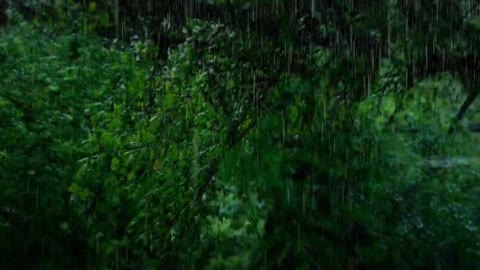 Relaxing Music | Sleeping, Meditation, Stress Relief | [1614] ⭐️