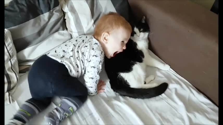 This Kid Loves His Cat Part 2