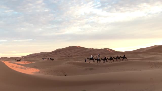 Merzouga desert