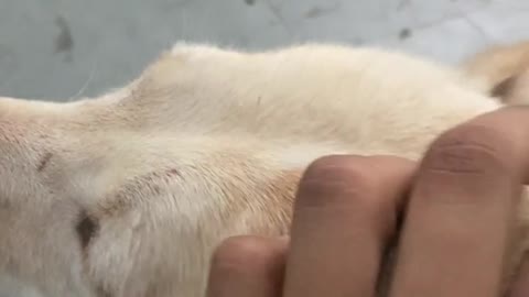 That's The Spot