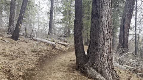 Formulating Your Morning Strategy – Deschutes River Trail – Central Oregon