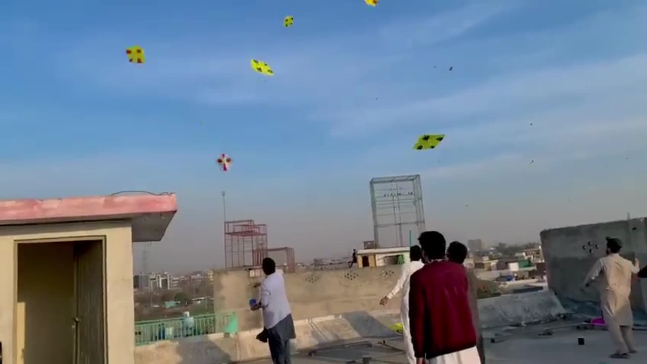 Pakistan kite flying