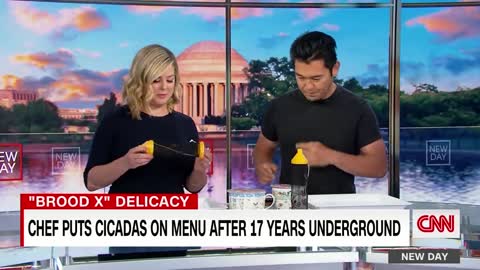 Desperate for Ratings, CNN Host Eats Dead Bugs on Air