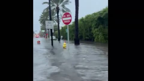 Emergency Biblical Flooding In South Florida, More To Come, Video's