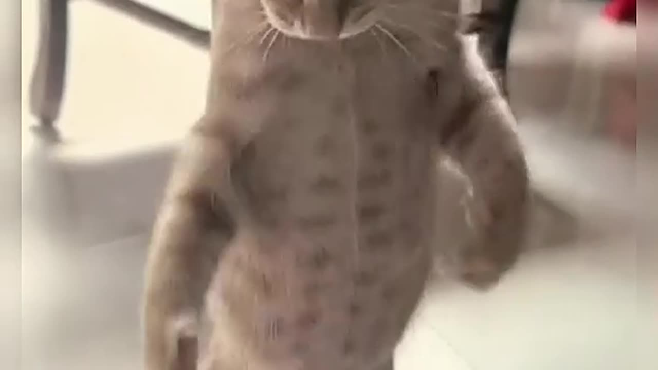 If this scene wasn't captured, one would regret it for a lifetime