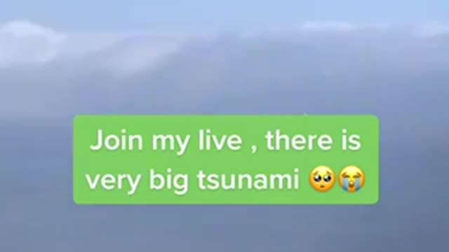 Everything You Wanted to Know About BIG TSUNAMI and Were Afraid To Ask