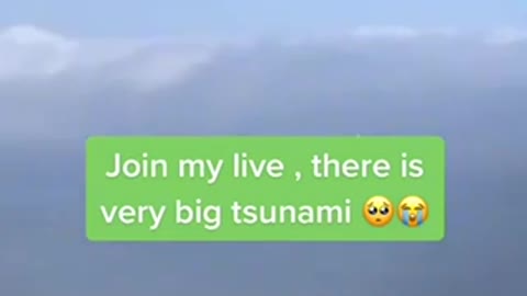 Everything You Wanted to Know About BIG TSUNAMI and Were Afraid To Ask