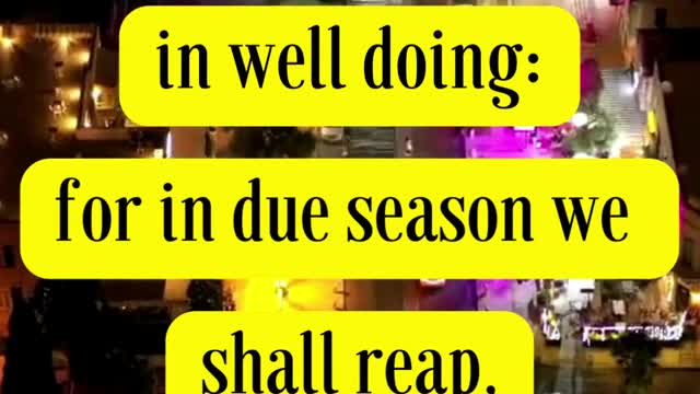 Bible Verse For the Day... And let us not be weary in well doing: for in due season we shall reap...