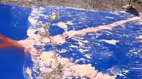 SEE THE EVIDENCE and ALL THE MIRACLES - Has The END ARRIVED ? See The Evidence and Decide - FULL NET