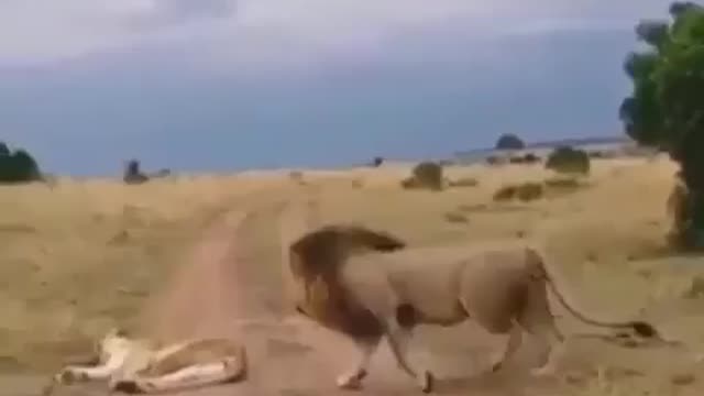 Never disturb a sleeping wife