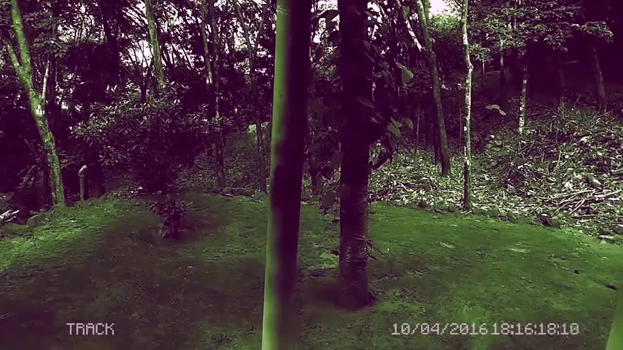 scary images captured on video