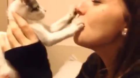 Funny cat