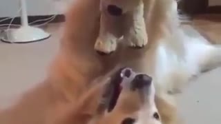 when will that play
