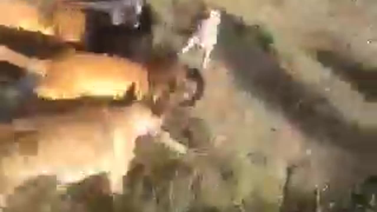 boergreys kill baboon