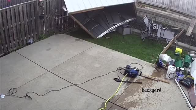 MY POOR BACKYARD