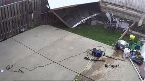 MY POOR BACKYARD