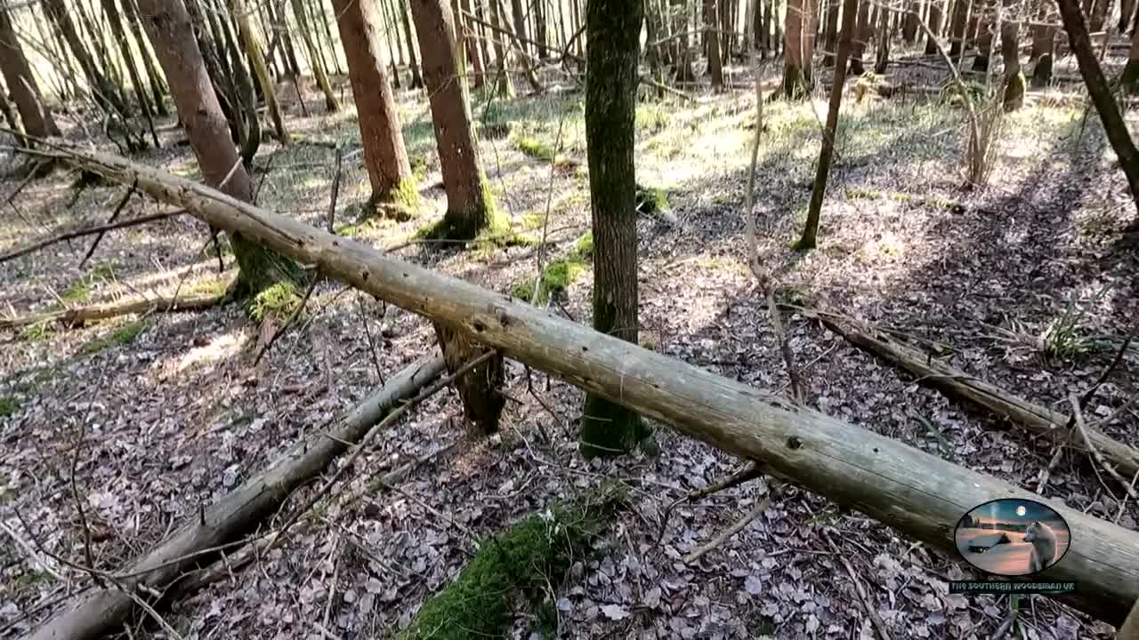 Wildcamping showing my set up