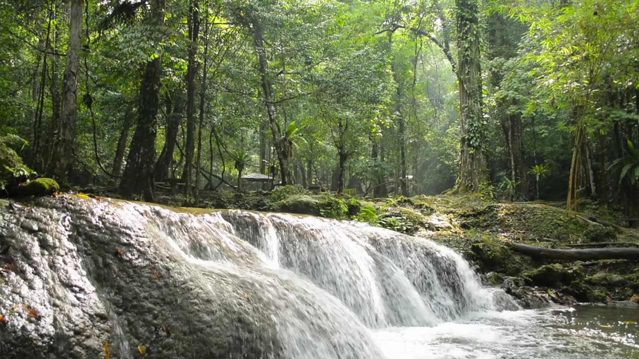 Lifting shot of fresh water flowing over the rock