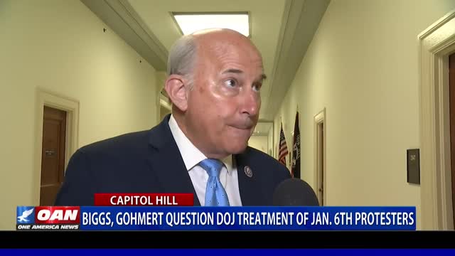 Biggs, Gohmert question DOJ treatment of Jan. 6 protesters