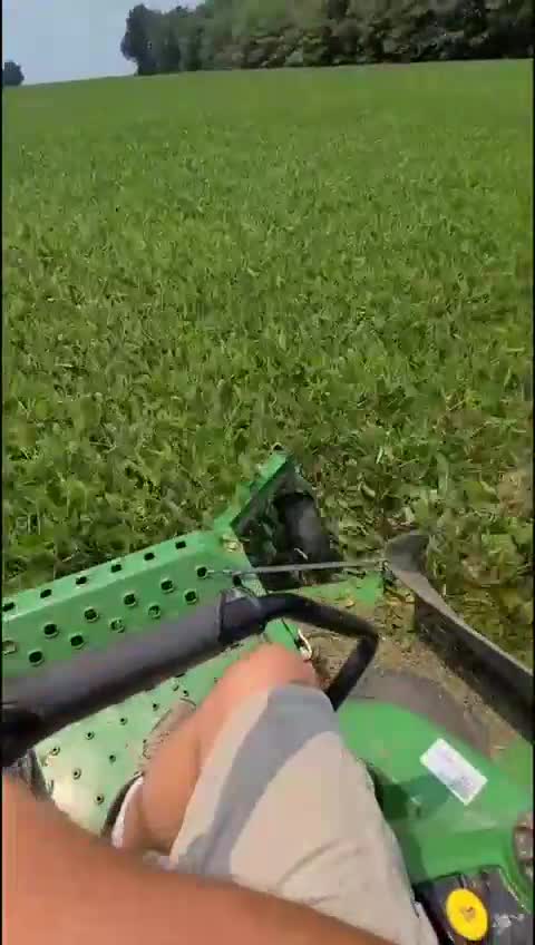 Farmers participating in artificial famine