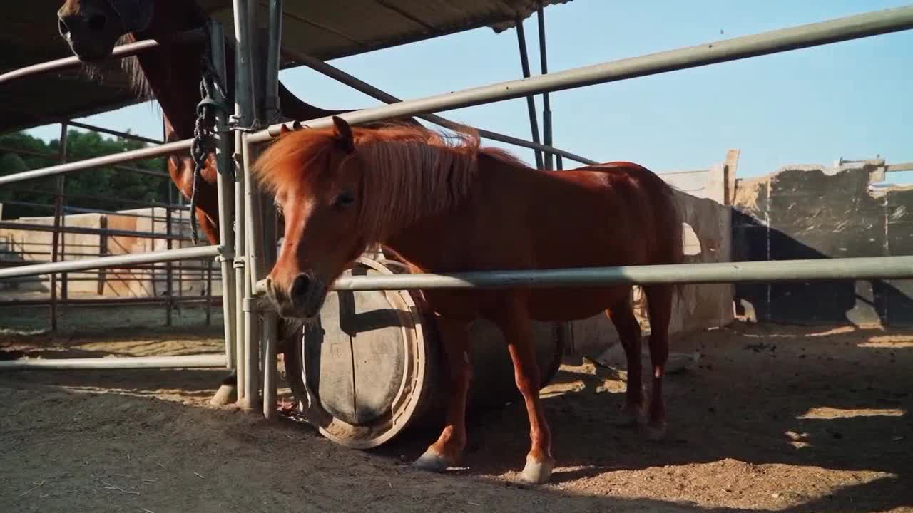 growth-capital investors heading out to the farm.