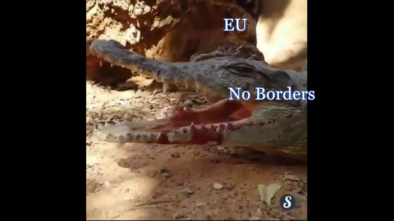 Current State Of The EU