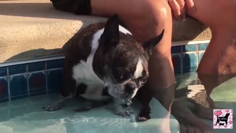 When mom force you to learn swimming 😆