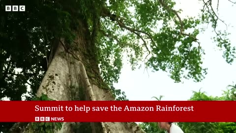 Amazon rainforest: Leaders meet in Brazil for summit - BBC News