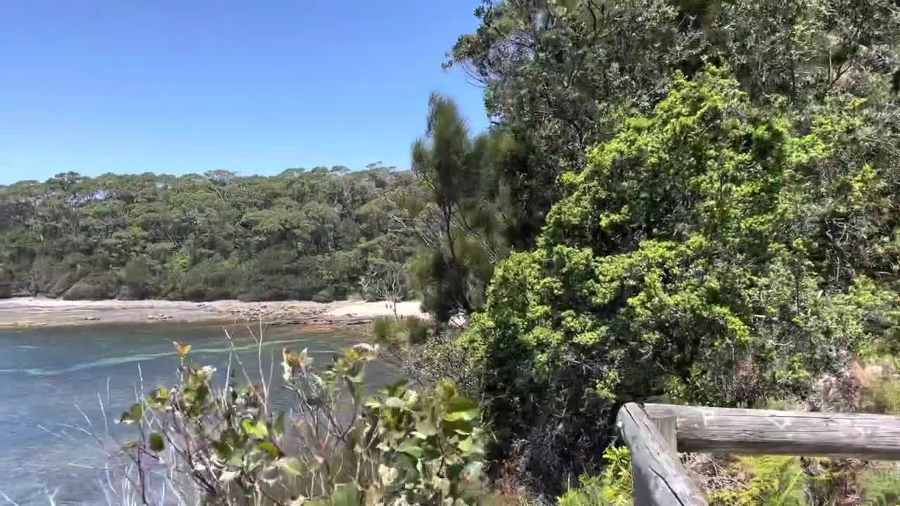 The Beaches and Back Woods of Ulladulla, NSW (12-1-21)