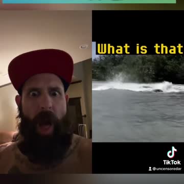 😳 OMG! IS THAT A #SEAMONSTER #water #darkwater #weird #strange #scary #plesiosaurus #shorts