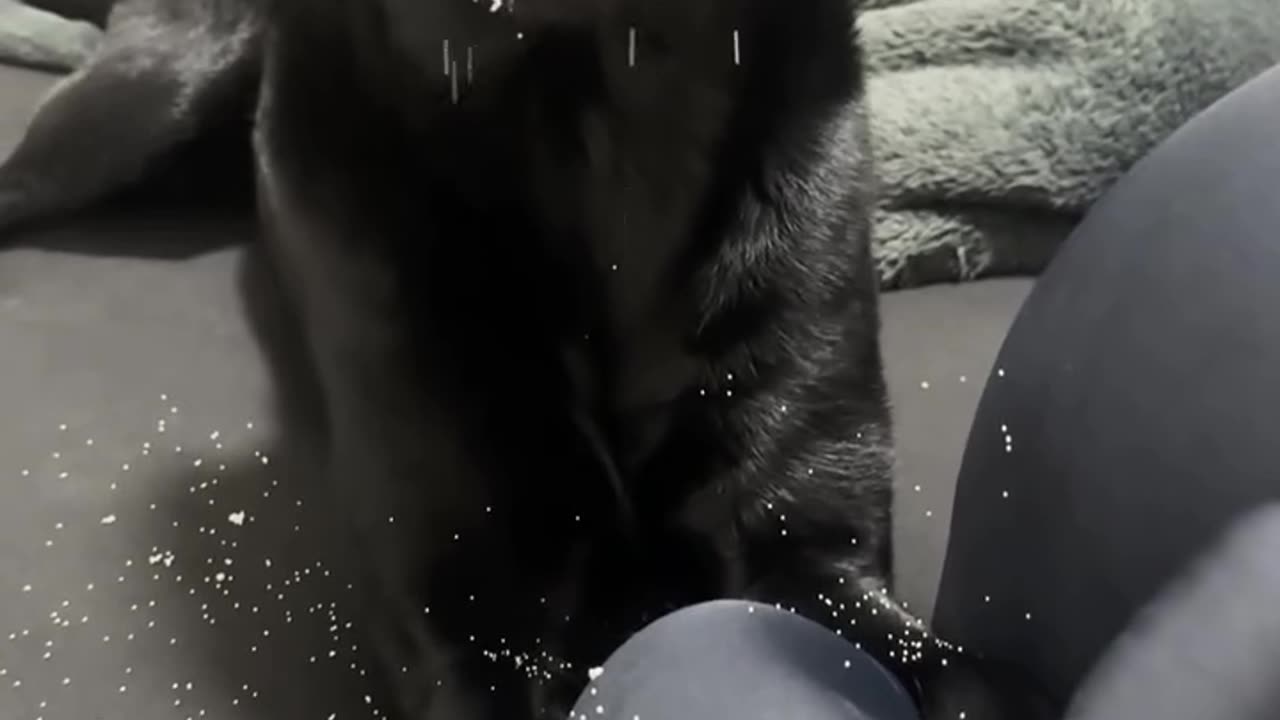 He knew he did the mistake :)