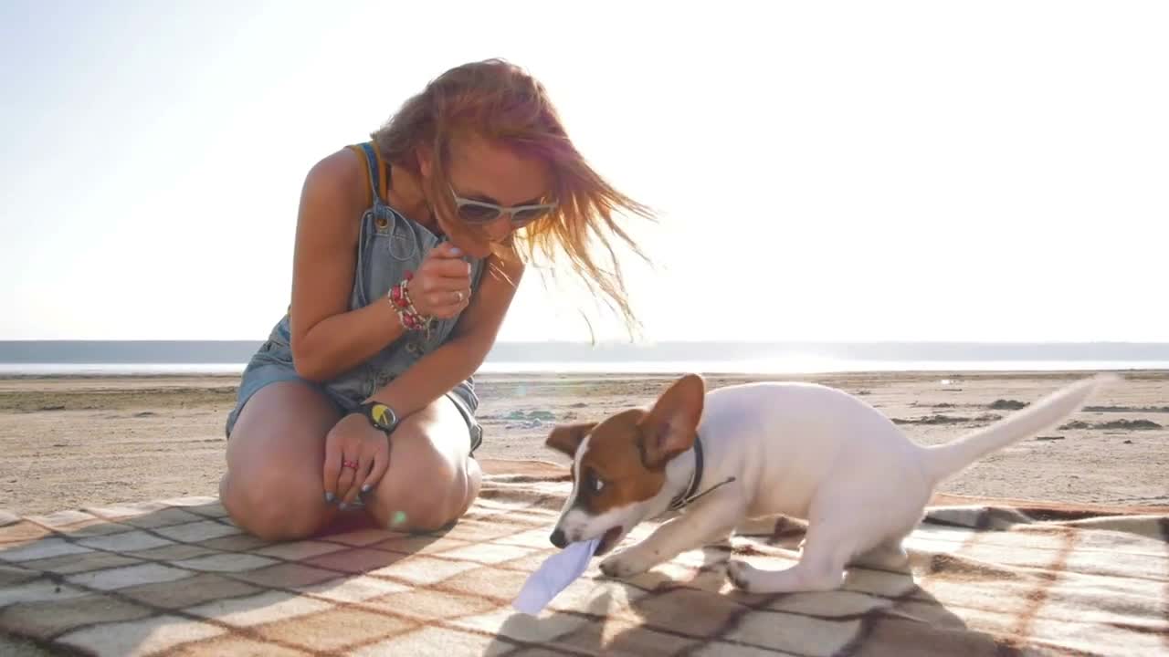 young stylish hipster playing dog puppy jack russell on the beach