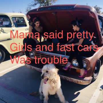 Pretty girls and fast cars trouble for the pup