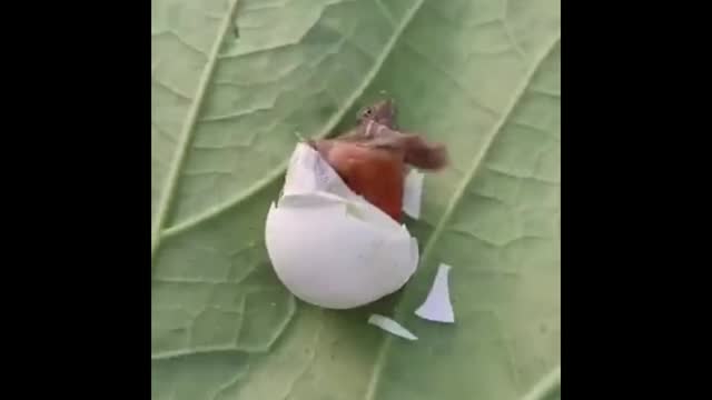 Come on, just believe you.