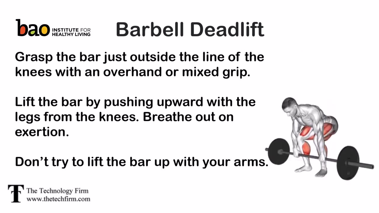 exercise Barbell Deadlift