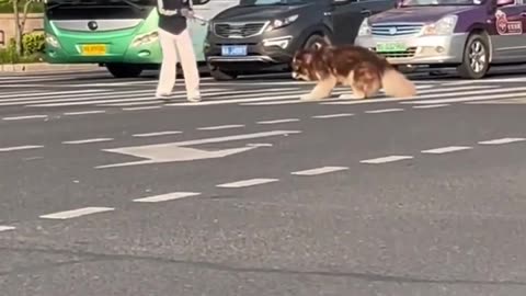 He won in a fair fight