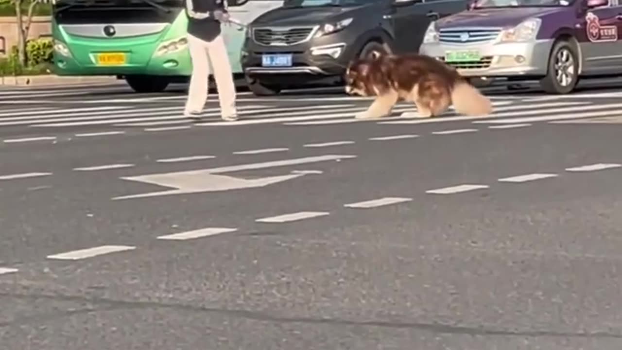 He won in a fair fight