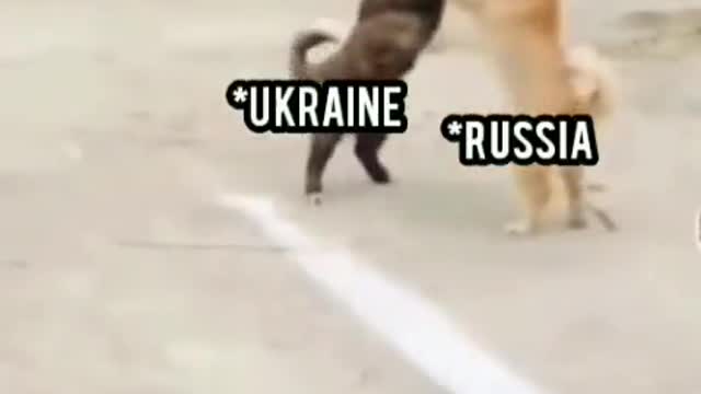 Russia-Ukraine war in a nutshell