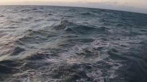 Sail Libra Trip 2021
