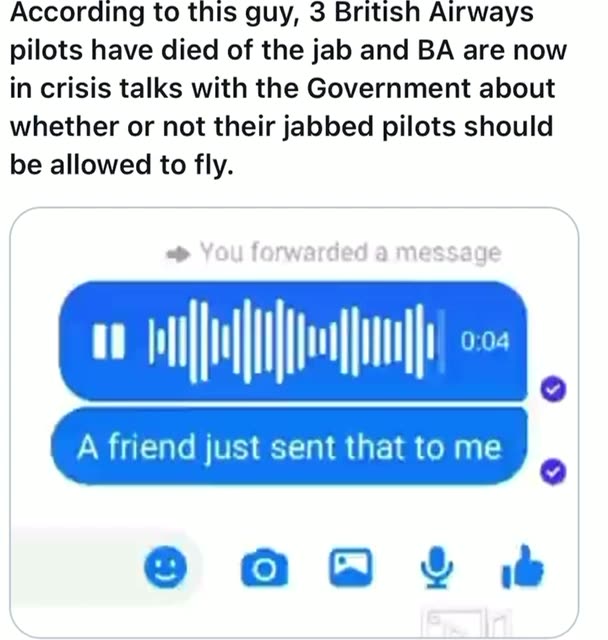 Many British pilots have died. Should Jabbed pilot be allowed to fly?