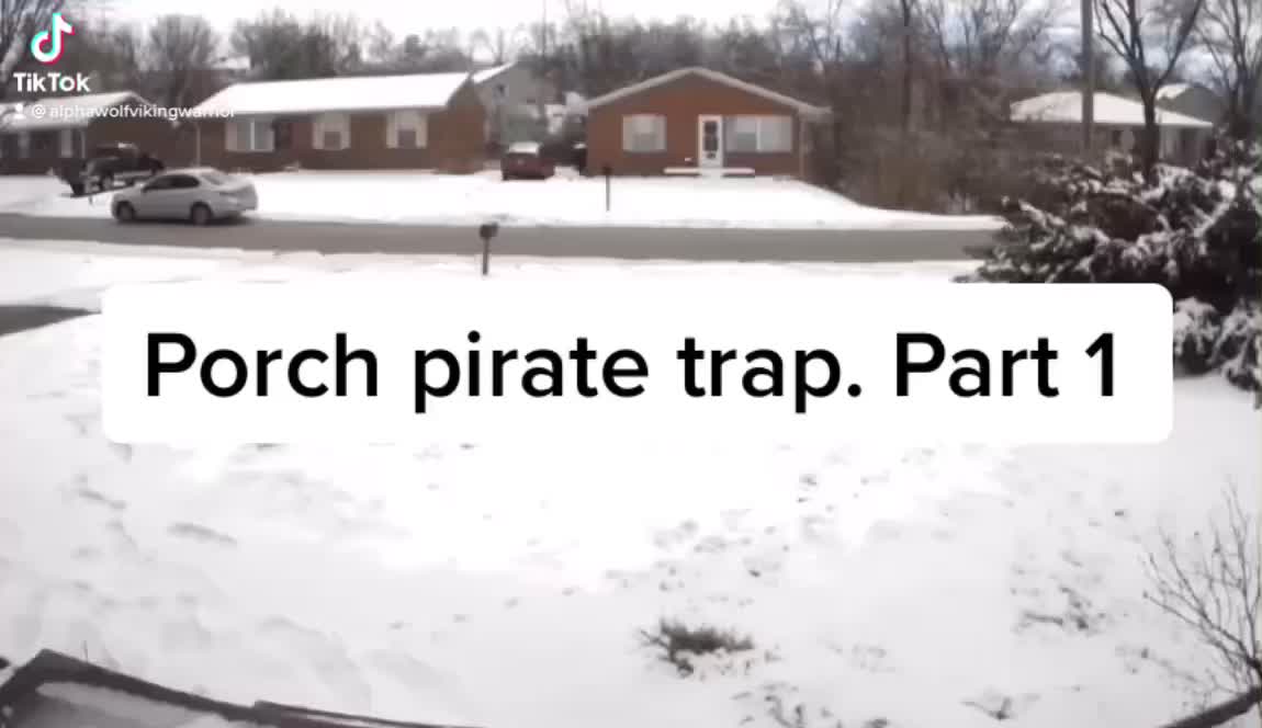 Porch pirate trap