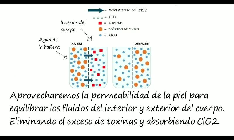 PROTOCOLO L LAVADO.