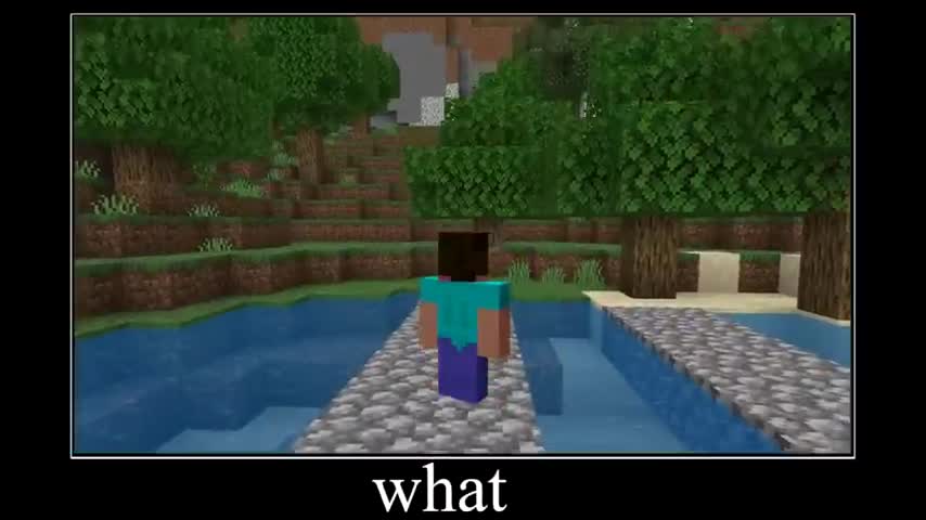 Meme Minecraft part 5