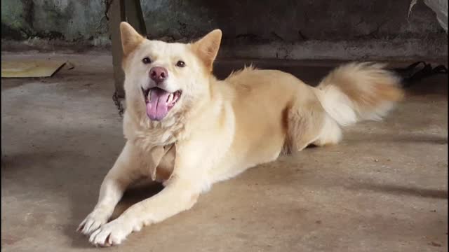 she was named bear because she has white fur like the polar bear I thought