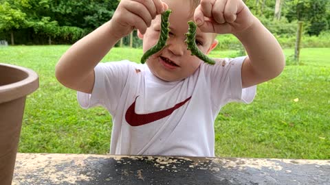 Holding caterpillars