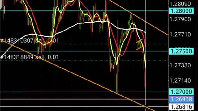 Learn basics of Forex Trading | Forex Trading For Beginners - I Caught 617+ PIPS - Forex Education