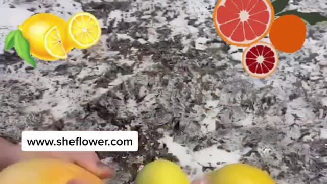 Hydroxychloroquine How to make a NATURAL FORM