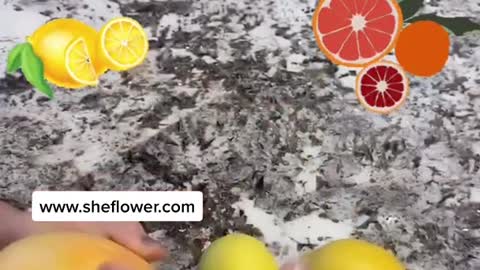 Hydroxychloroquine How to make a NATURAL FORM