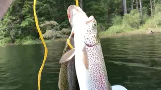 Patriot Fishing part 6-8