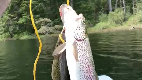 Patriot Fishing part 6-8